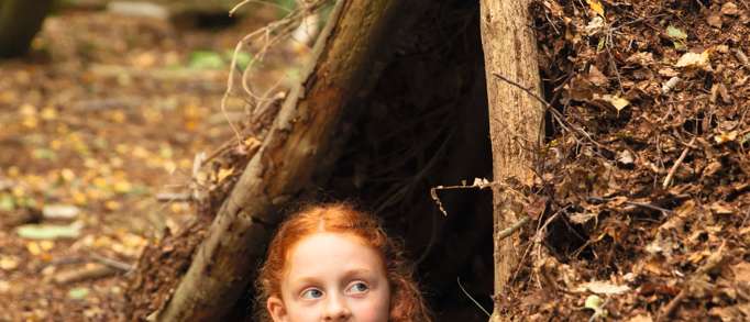 3. Den Building