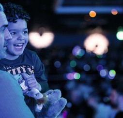 Festive, Christmas and New Year