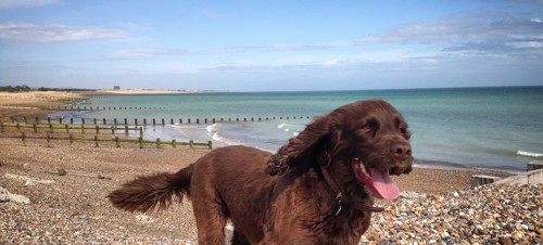 Climping Beach, Atherington