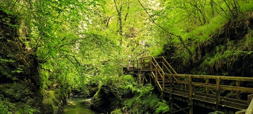 4. Lydford Gorge 
