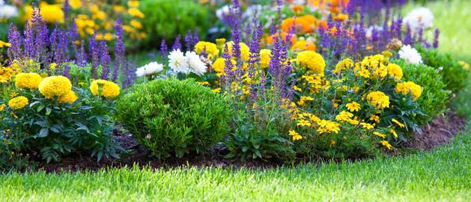 2. The Plantation Garden 