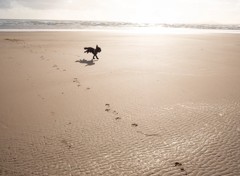 Everyone can enjoy the beach at Hafan y Mor.