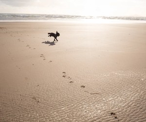 Everyone can enjoy the beach at Hafan y Mor.