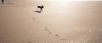 Everyone can enjoy the beach at Hafan y Mor.
