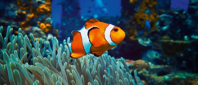 3. Skegness Aquarium 