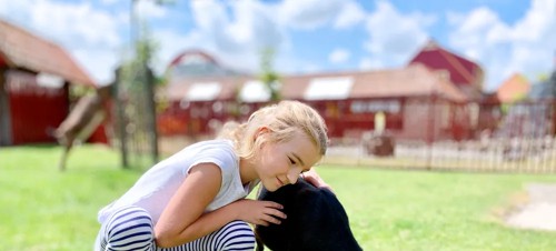 Best activity centres for kids aged 4-11 in Somerset