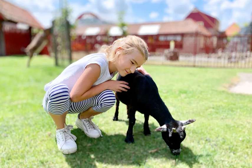 Best activity centres for kids aged 4-11 in Somerset