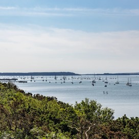 Rockley Park, Dorset