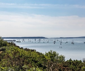 Rockley Park, Dorset