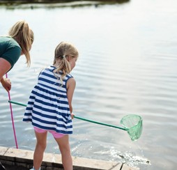 Pond dipping