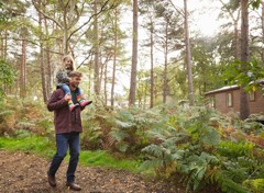 Woodland Setting at Wild Duck