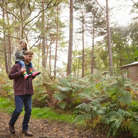 Woodland Setting at Wild Duck