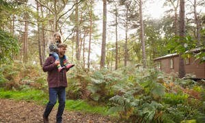 Woodland Setting at Wild Duck