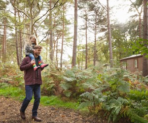 Woodland Setting at Wild Duck