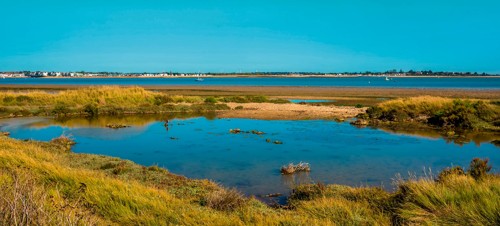 5. Colne Point Nature Reserve