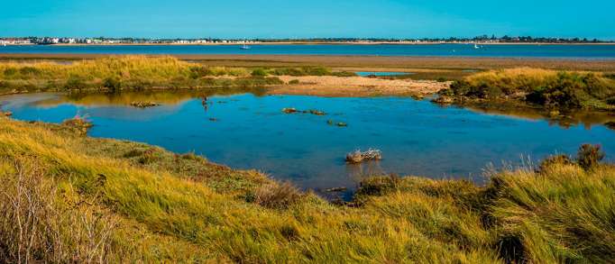5. Brightlingsea Marsh National Nature Reserve, Brightlingsea 