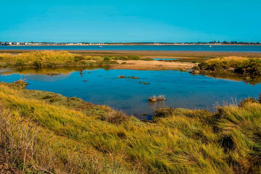 5. Colne Point Nature Reserve