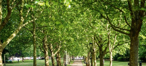 7. Lie in the shade at The Vines Park