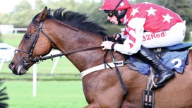 A horse and jockey compete at Market Rasen racecourse.