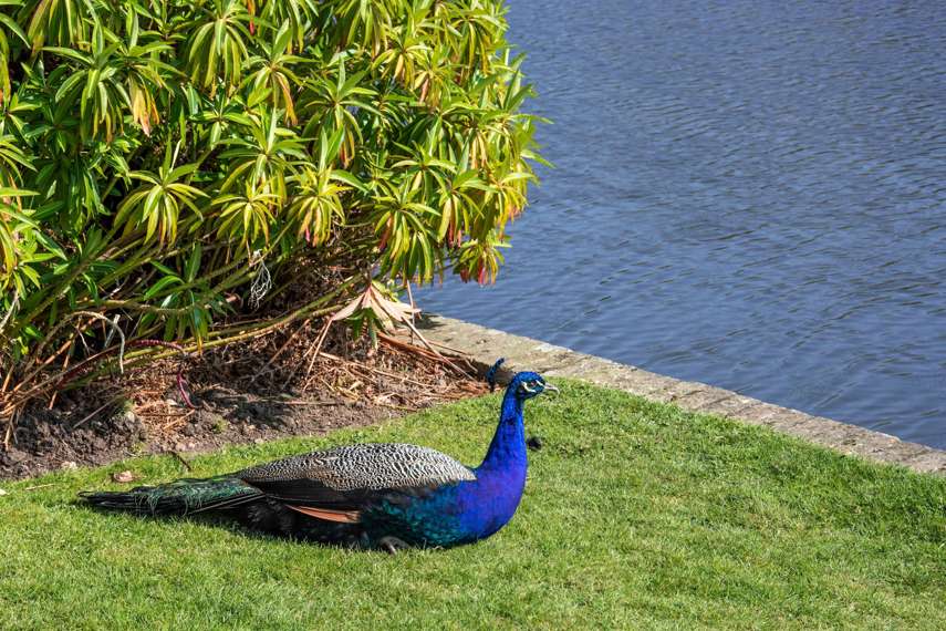 10. Marks Hall Estate and Arboretum