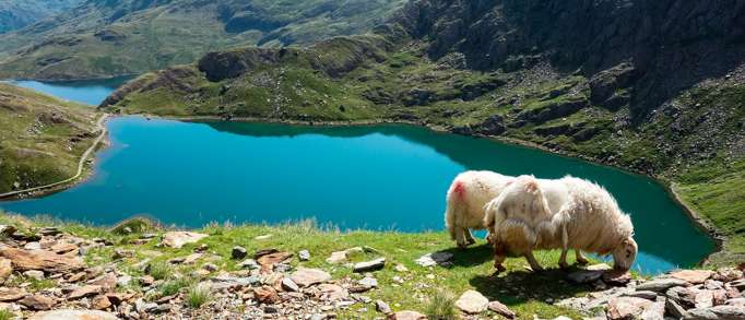 Snowdonia, Wales