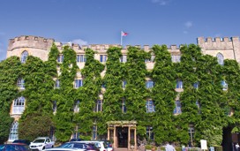 The Museum of Somerset