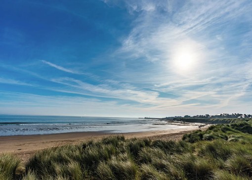 Things to do in Seahouses 