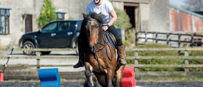 1. Orchard Farm Riding Centre