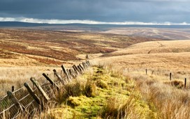 Best walks & walking routes in Exmoor