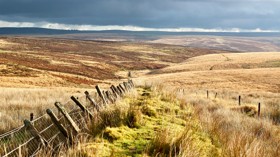 Best walks & walking routes in Exmoor