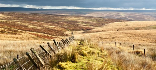 Best walks & walking routes in Exmoor