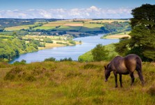 Things to do in Dunster and Exmoor - Hero