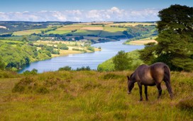 Things to do in Dunster and Exmoor - Hero