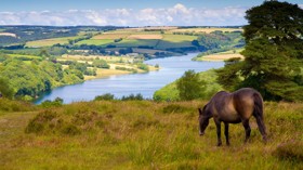 Things to do in Dunster and Exmoor - Hero