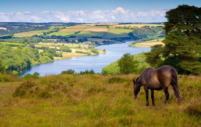 Things to do in Dunster and Exmoor - Hero