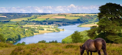 Dunster and Exmoor
