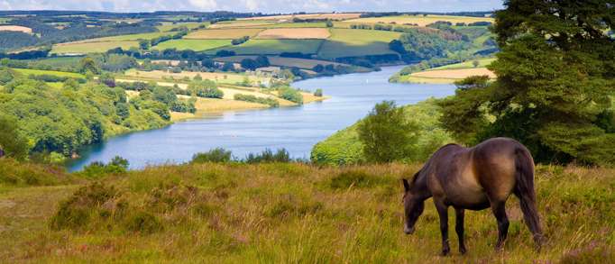 Dunster and Exmoor