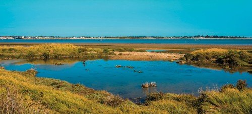 6. Whitehouse Beach, Alresford