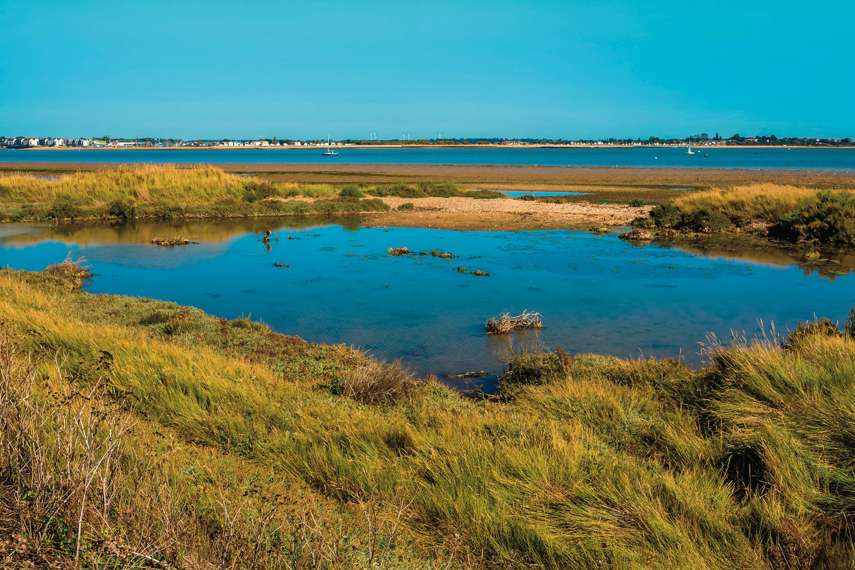 6. Whitehouse Beach, Alresford