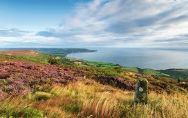 North York Moors National Park