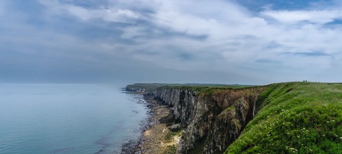 Thornwick Bay to Flamborough Head 