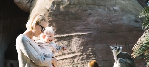 Best places to visit for babies and toddlers in Sussex