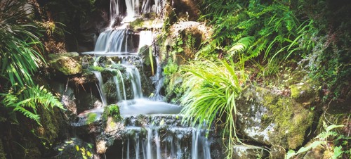 Clyne Gardens, Swansea
