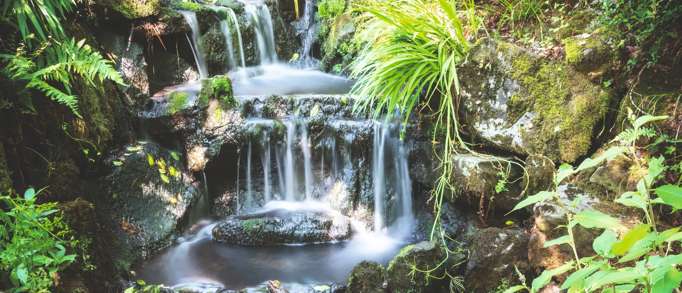 Clyne Gardens, Swansea
