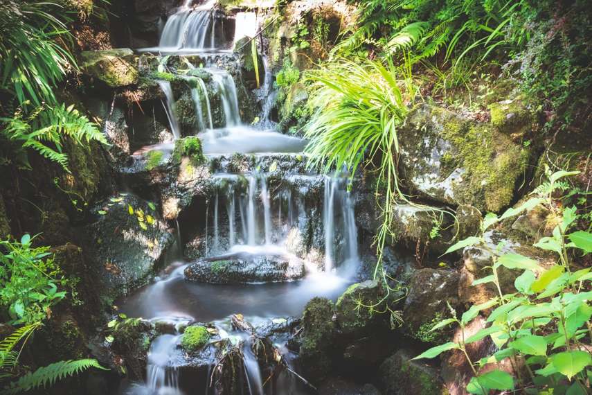 Clyne Gardens, Swansea