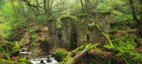 6. Kennall Vale Nature Reserve 