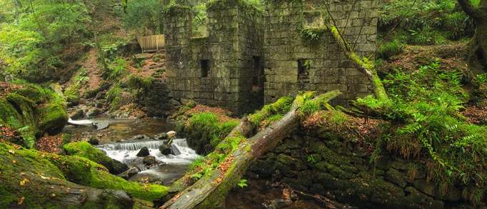 6. Kennall Vale Nature Reserve 