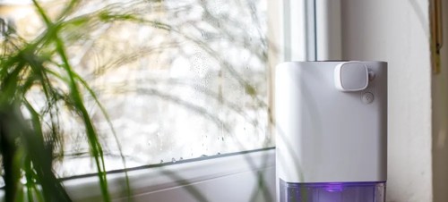 5. Use dehumidifiers  
