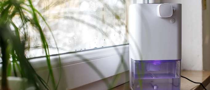 5. Use dehumidifiers  