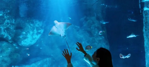 3 Best places to visit for babies and toddlers in Blackpool